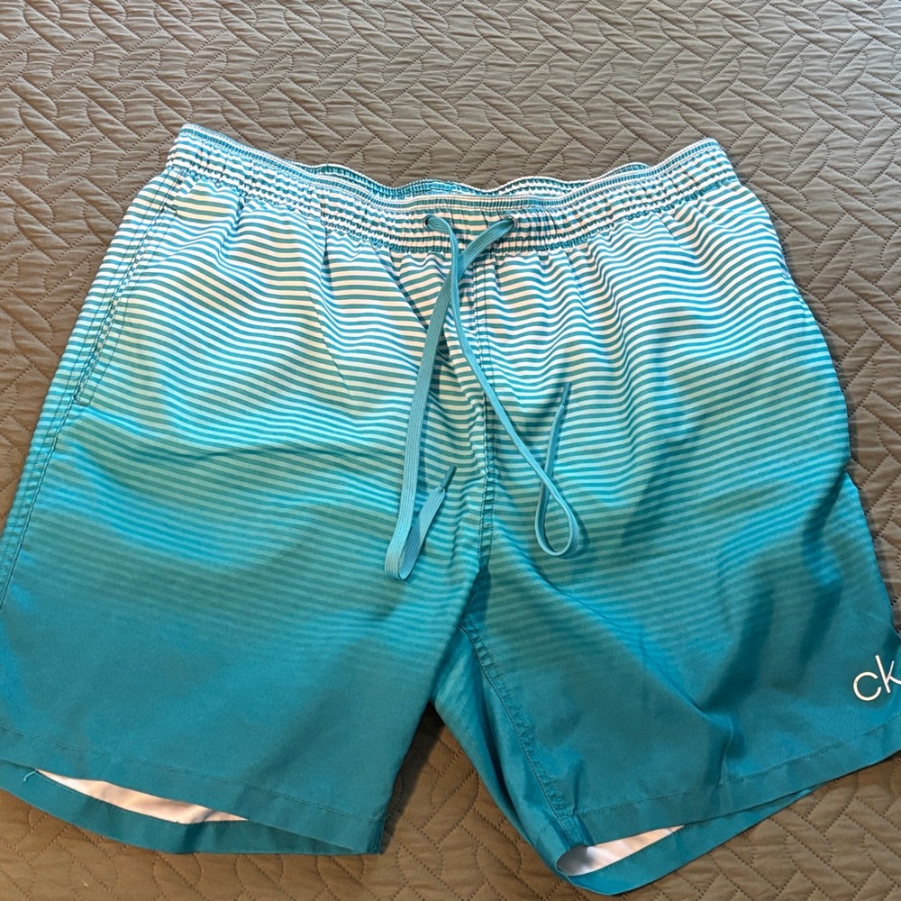 Calvin Klein Men's Striped Teal Swim Trunks
